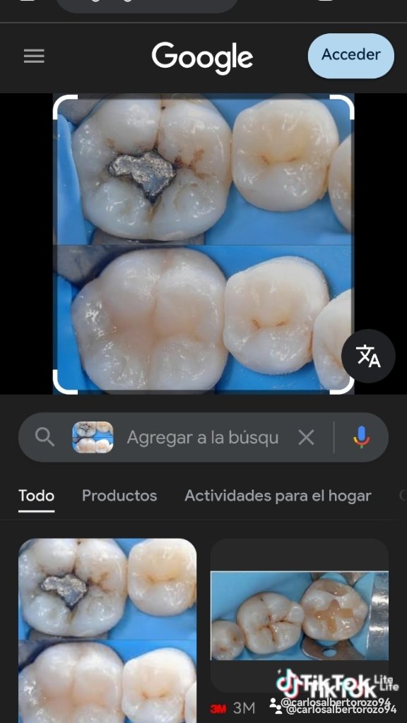 odontología integral.adultos y niños - 6