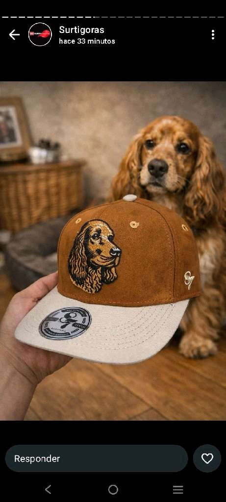 gorras de todos los estilos - 3