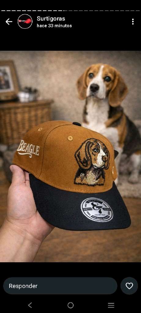 gorras de todos los estilos - 5