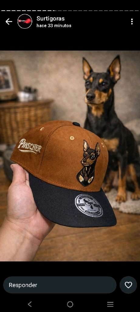 gorras de todos los estilos - 6