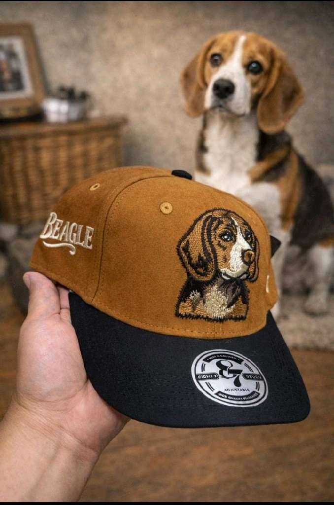 gorras de todos los estilos - 7