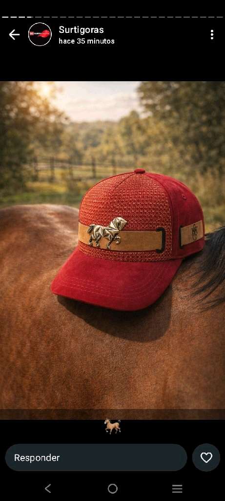 gorras de todos los estilos - 14