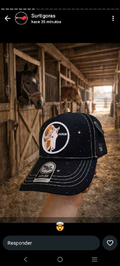 gorras de todos los estilos - 15