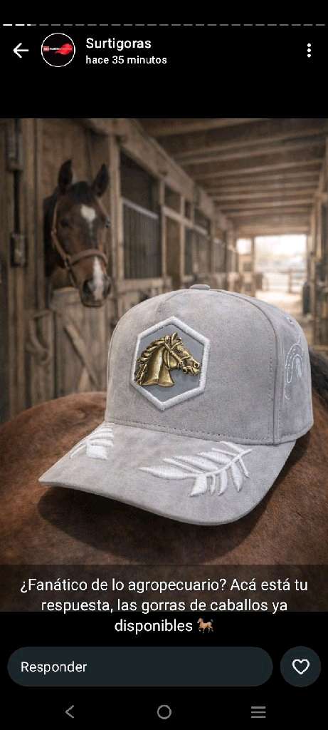 gorras de todos los estilos - 16
