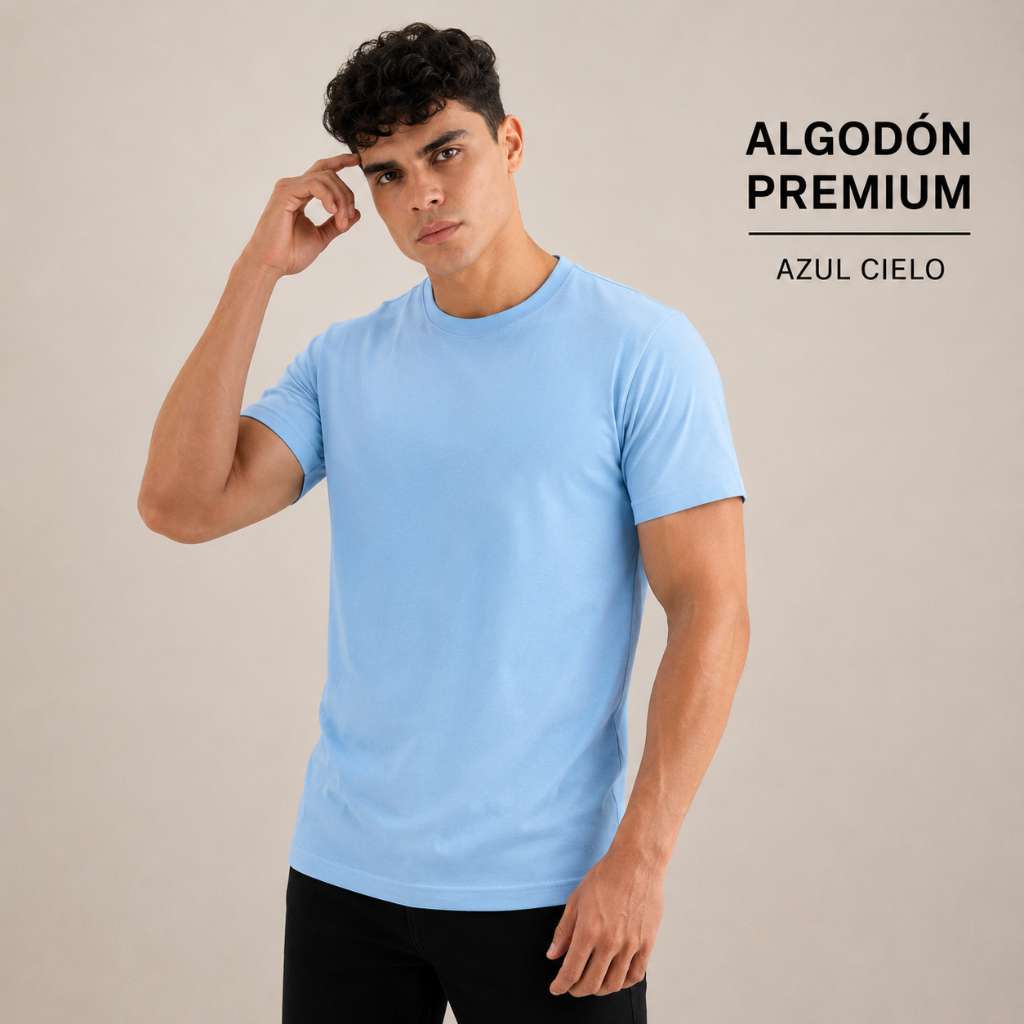 Camiseta Algodon Premium 250 Gr