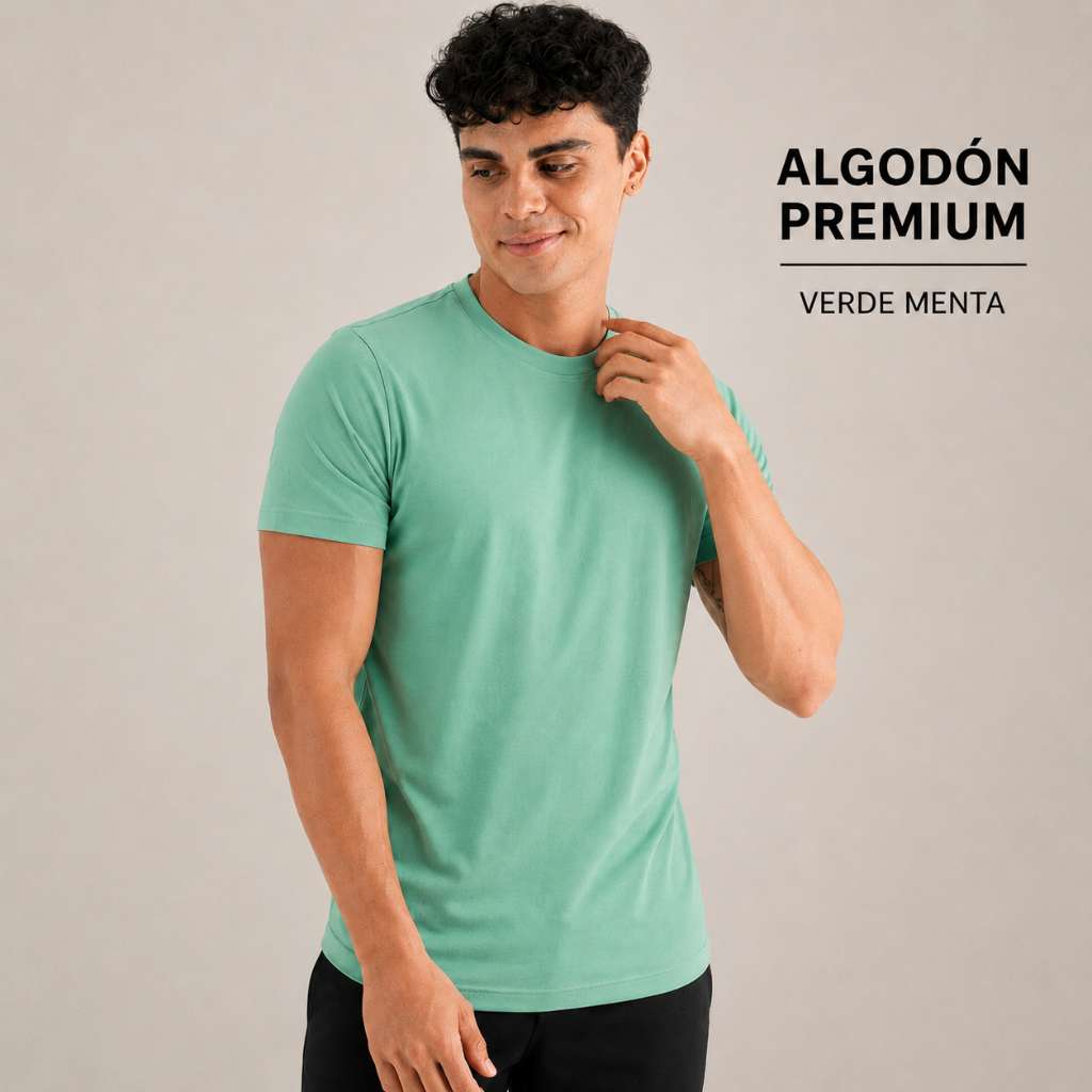 Camiseta Algodon Premium 250 Gr - 13