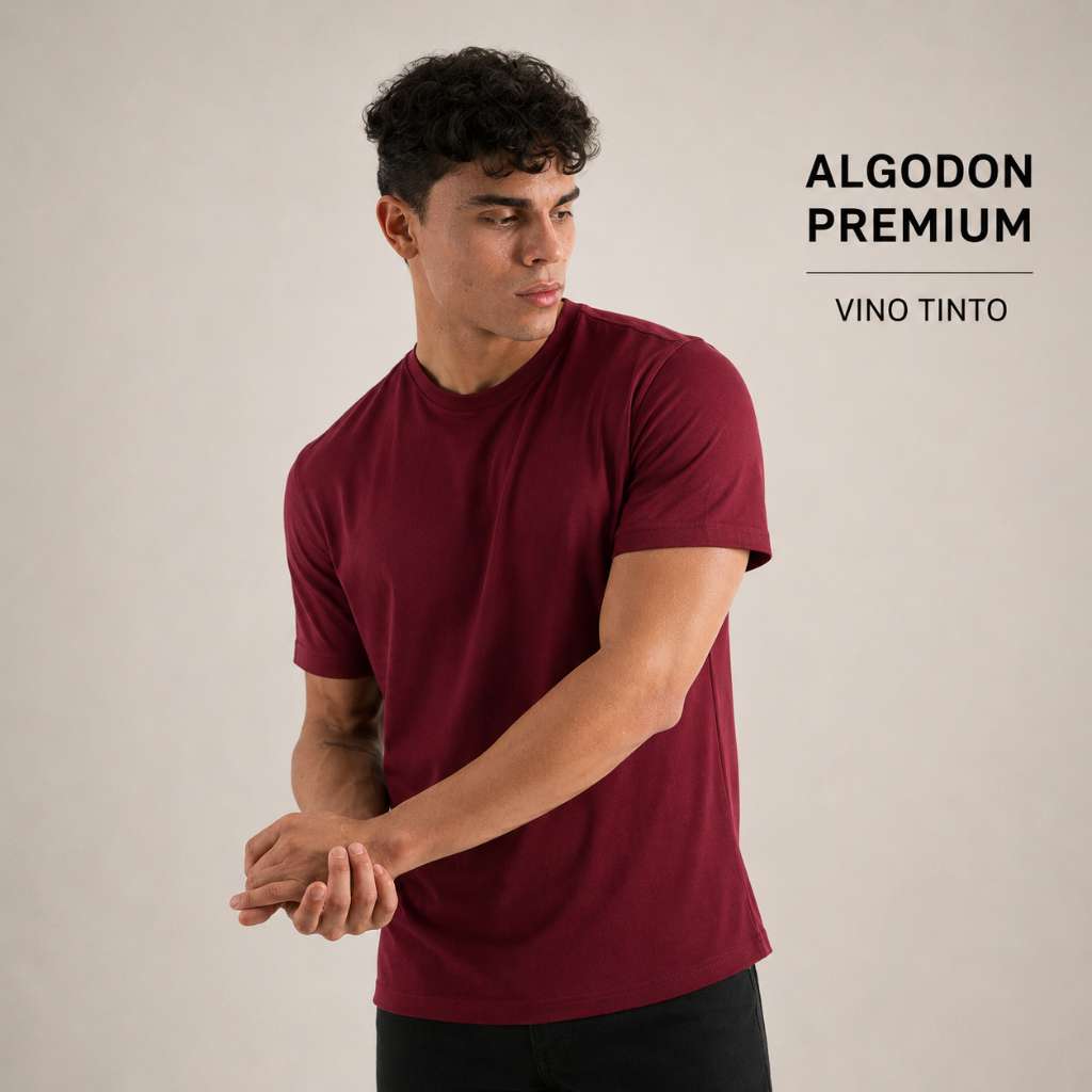 Camiseta Algodon Premium 250 Gr - 15