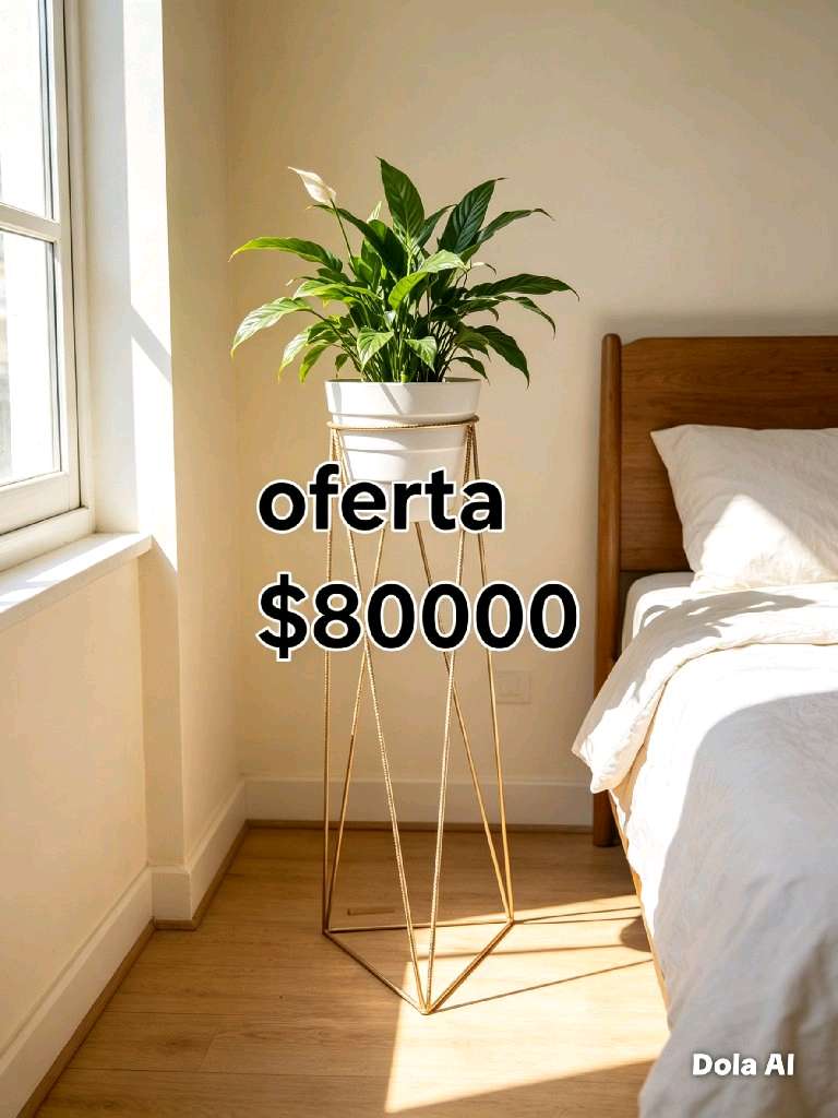 Plantas de interior variadas - 2