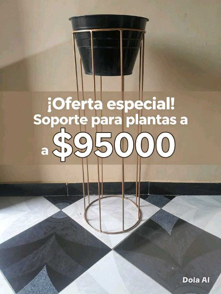 Plantas de interior variadas - 7