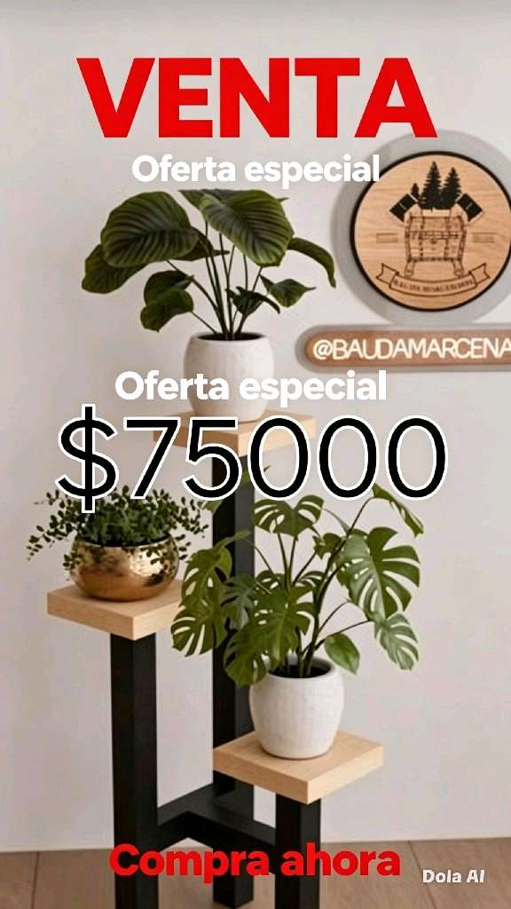 Plantas de interior variadas - 8