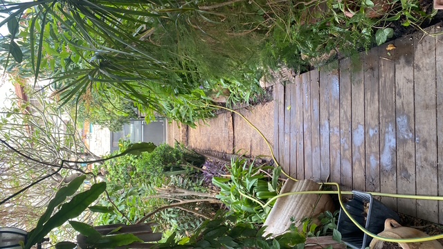 Wood deck restoration in Beit Shemesh — before & after 4