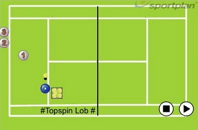 Topspin Loop
