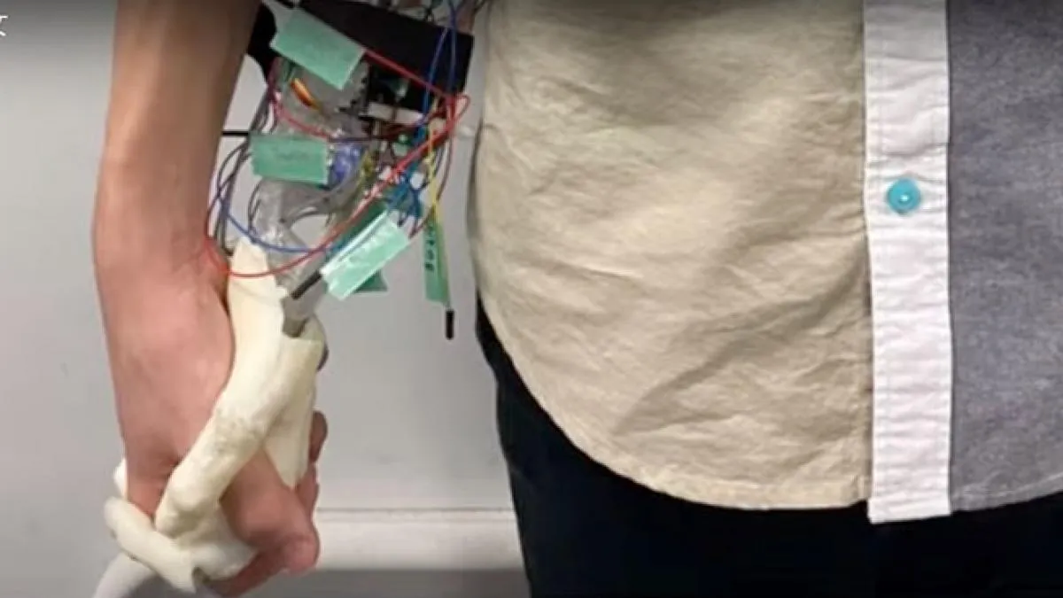 Contra la soledad: una mano robótica para pasear, alquiler de hermanas y matrimonios con robots