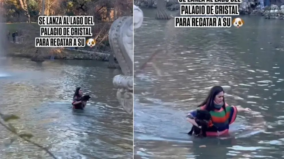 Una joven se lanza a un lago del Retiro para salvar a su perra: "El agua estaba helada, lo pasé fatal"