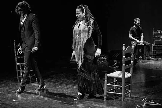 Espectáculo flamenco "De raíz"