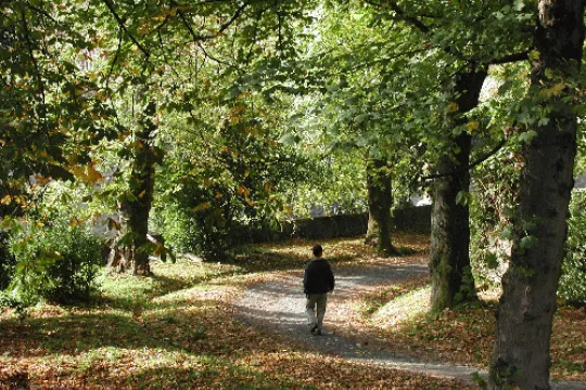 "Jardines con historia: un paseo por la sostenibilidad"