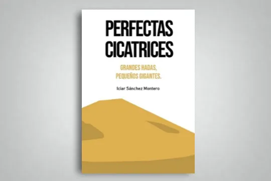 Itziar Sanchezen "Perfectas cicatrices" liburuaren aurkezpena