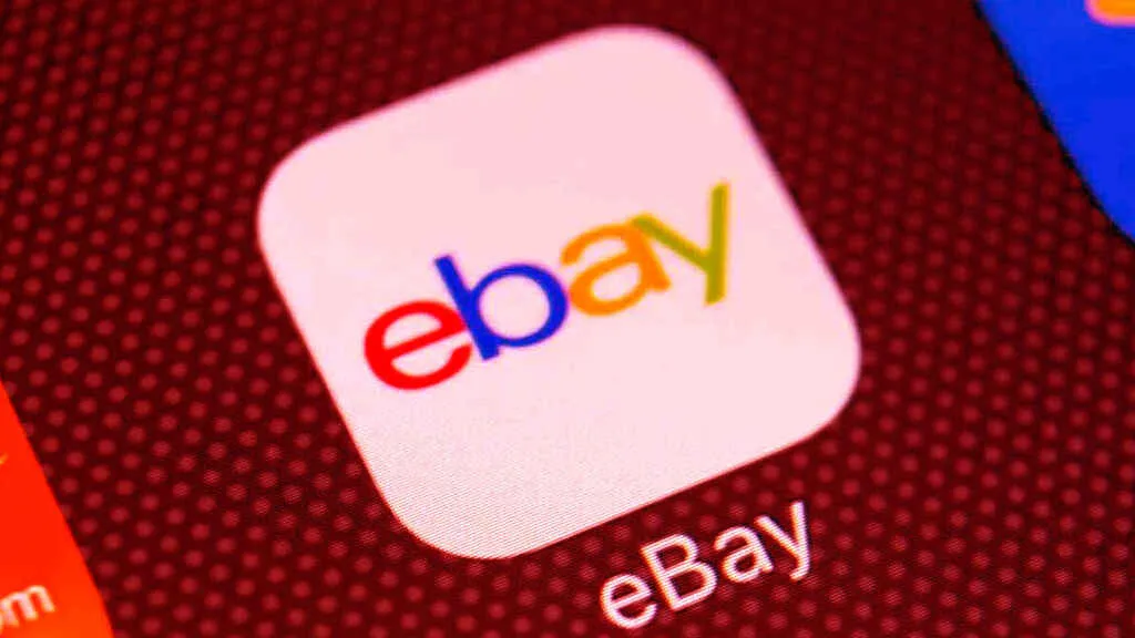 De fetos de cerdo a cucarachas y arañas: el ciberacoso de exempleados de eBay a una periodista
