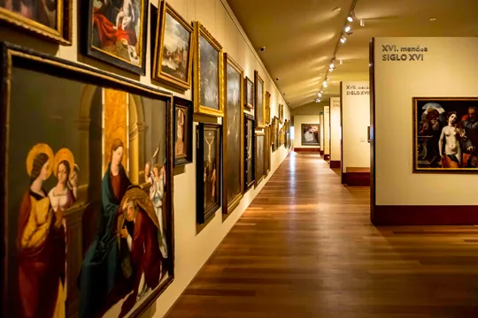 Visitas guiadas "Colección histórica de arte desde el siglo XV"