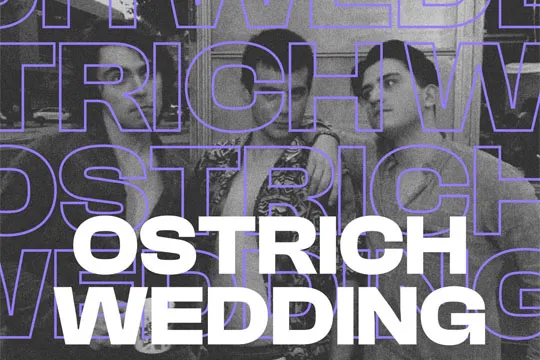 OSTRICH WEDDING