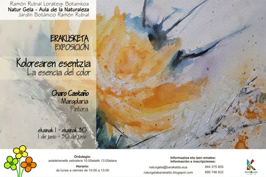 "La esencia del color", exposición de pintura de Charo Castaño