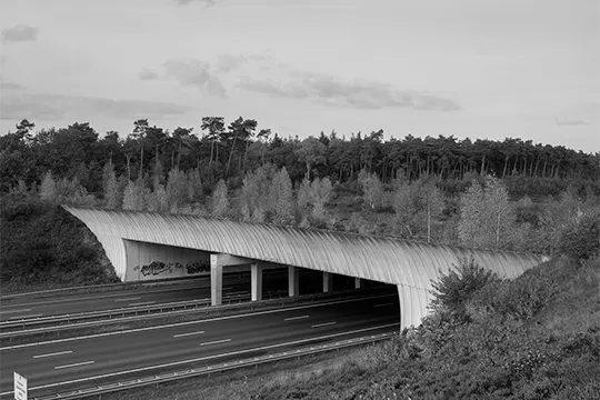 Getxophoto 2021: "Bridges are Beautiful", Marina Caneve-ren erakusketa