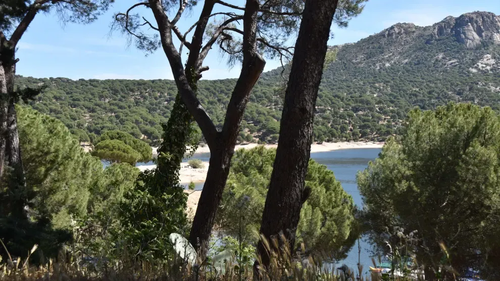 Bruselas amonesta a España por incumplir los objetivos de reciclaje y habla de "falta de coordinación" en la transición ecológica