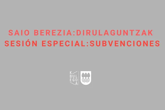 Sesión de formación especial: Presentación técnica de las líneas de subvención de Cultura