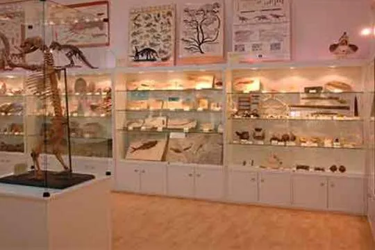 Museo de Fósiles y Minerales de Elgoibar