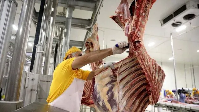 José Félix, veterinario de matadero: "Sin nosotros, la gente enfermaría más"