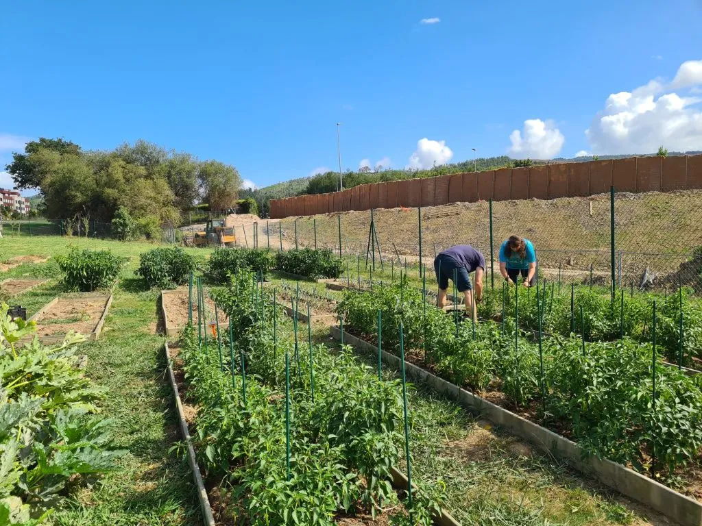 El Centro de APNABI en Derio se consolida como un espacio de voluntariado inclusivo durante el verano