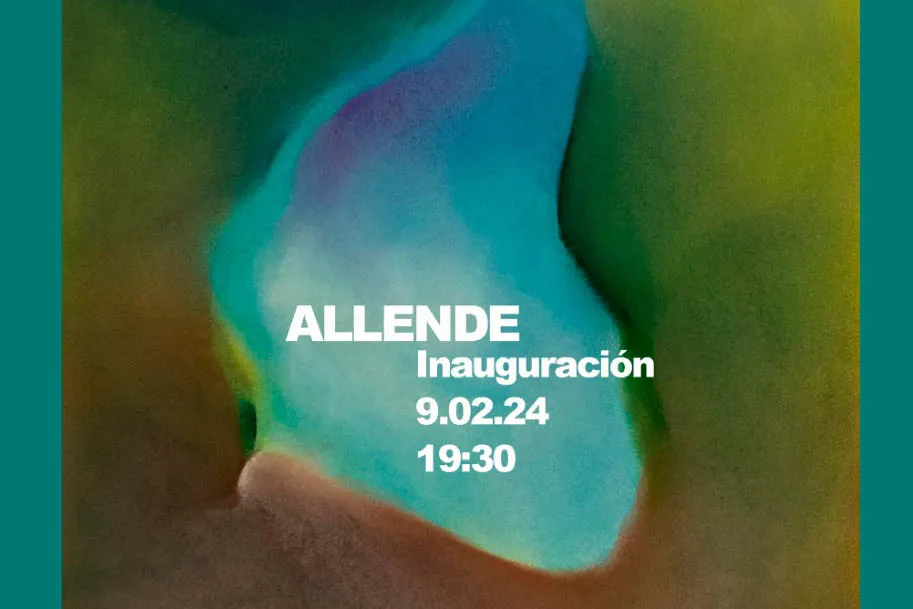 Inauguración: "ALLENDE", Milagros Barrachina