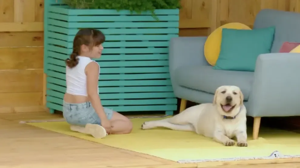 El emotivo momento de conexión entre Valeria, una pequeña con autismo, y su nueva perrita