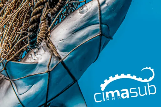 CIMASUB 2022 - Ciclo internacional de Cine Submarino de Donostia-San Sebastián (Irun)