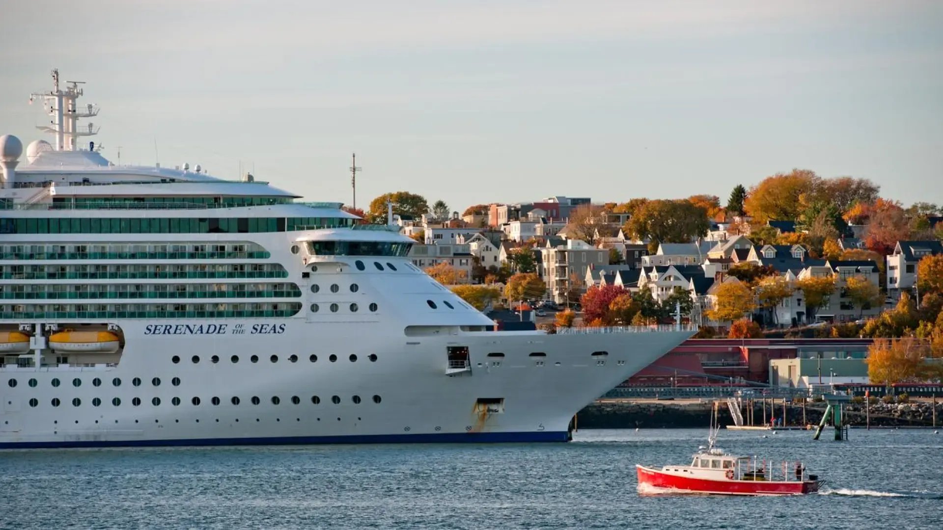 
         Infección masiva por norovirus en un crucero: cómo actuar en estos casos 
    