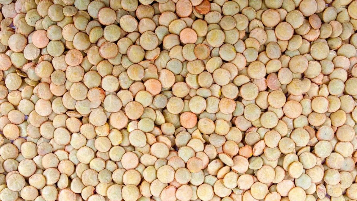 Las legumbres no engordan: ventajas nutricionales y consejos para sacarles el máximo partido