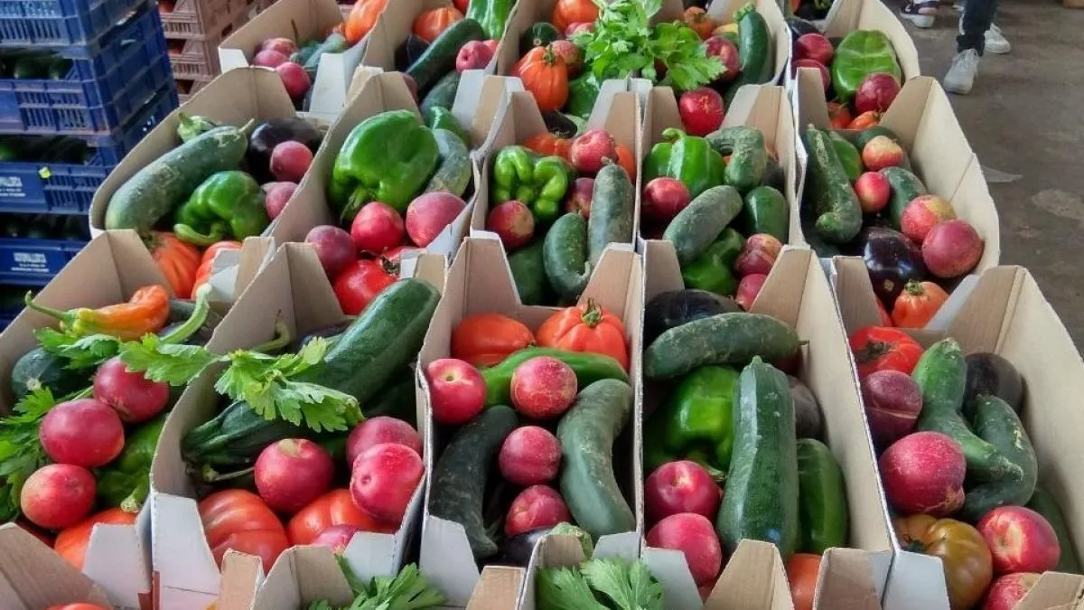 ¿La fruta y la verdura tienen carbohidratos?