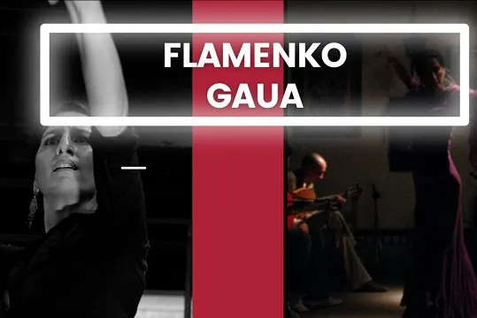 Flamenko Gaua: Lidia de Lorenzo