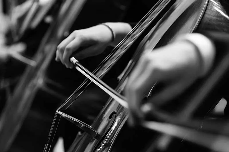Ciclo Nuevos Talentos en la Música de Cámara 2024: Quinteto Berart