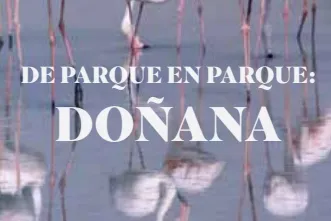 Gnat Zinema 2024: "De parque en parque: Doñana"