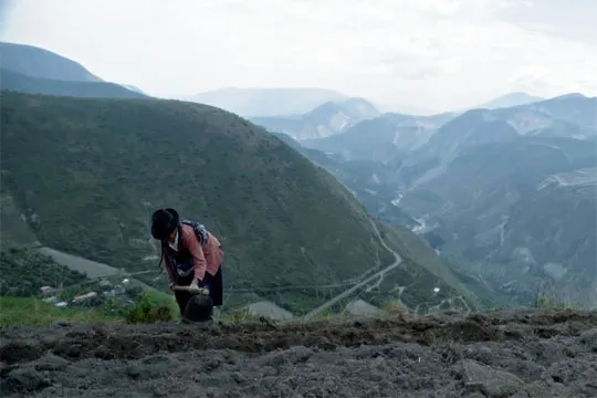 Festival de Cine y Derechos Humanos de Donostia 2024: Maratón de cortometrajes internacionales