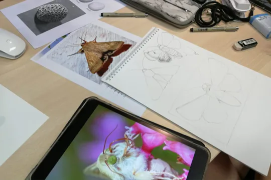 "Uniendo Arte y Ciencia en Bergara" 2024: Taller de ilustración científica para adultos de todos los niveles