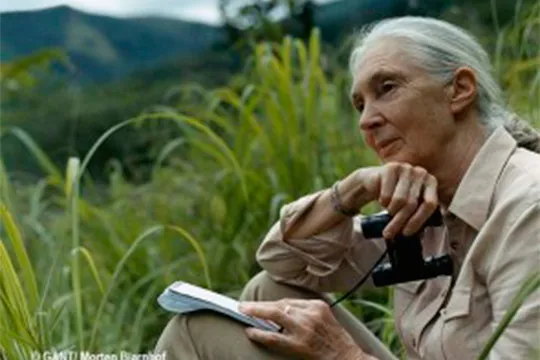 "Jane Goodall, ikertzailea eta bakearen aldeko aktibista"