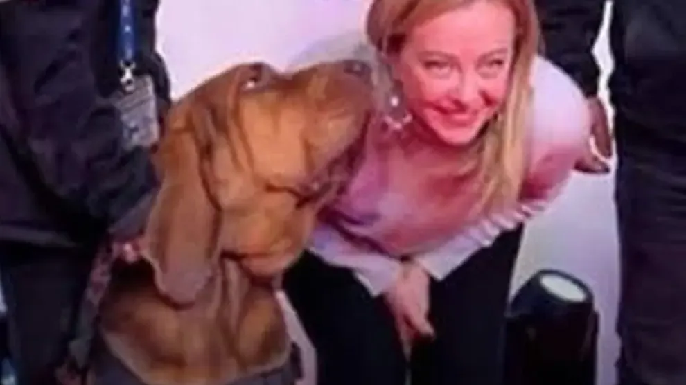 Indignación en Italia por el asesinato de Bruno, el perro de rescate que llegó a ser premiado por Meloni