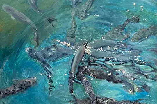 "El reflejo de una vida: mar, monte y cuerpo", exposición de Jaime Vicario