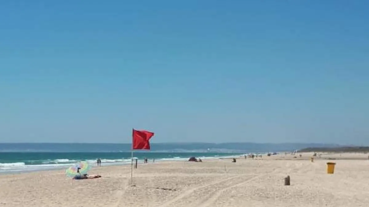 Polémica por fumigar con lejía las playas de Zahara de los Atunes para que los niños puedan pasear