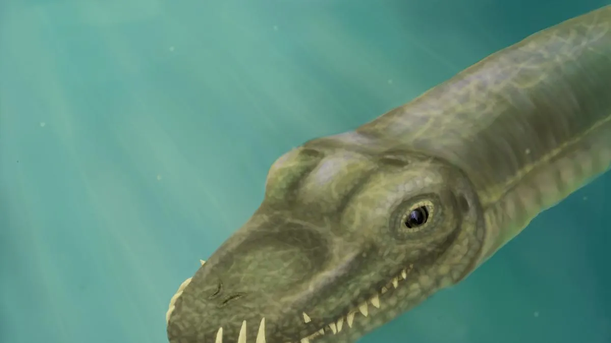 Resuelven el misterio de los reptiles de cuello súper largo