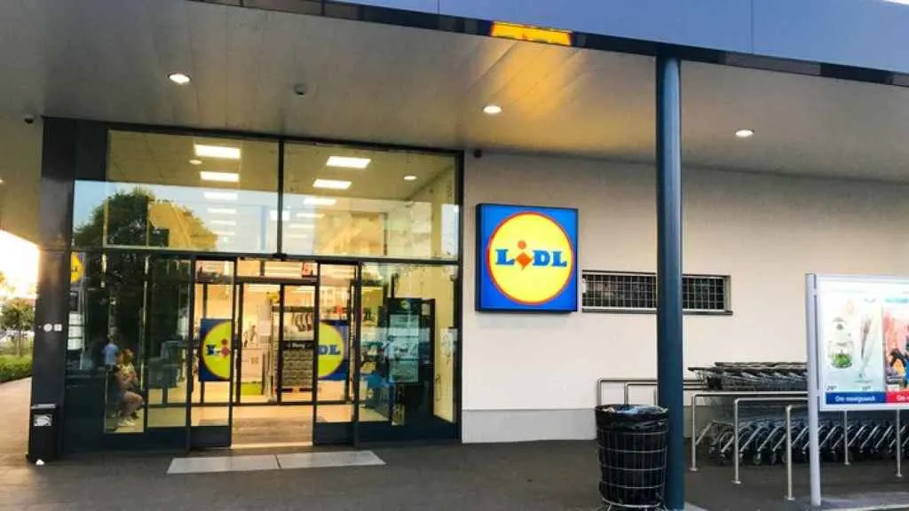 El nuevo chollo de Lidl es un secador de pelo 'dyson' de tamaño compacto por menos de 20 euros