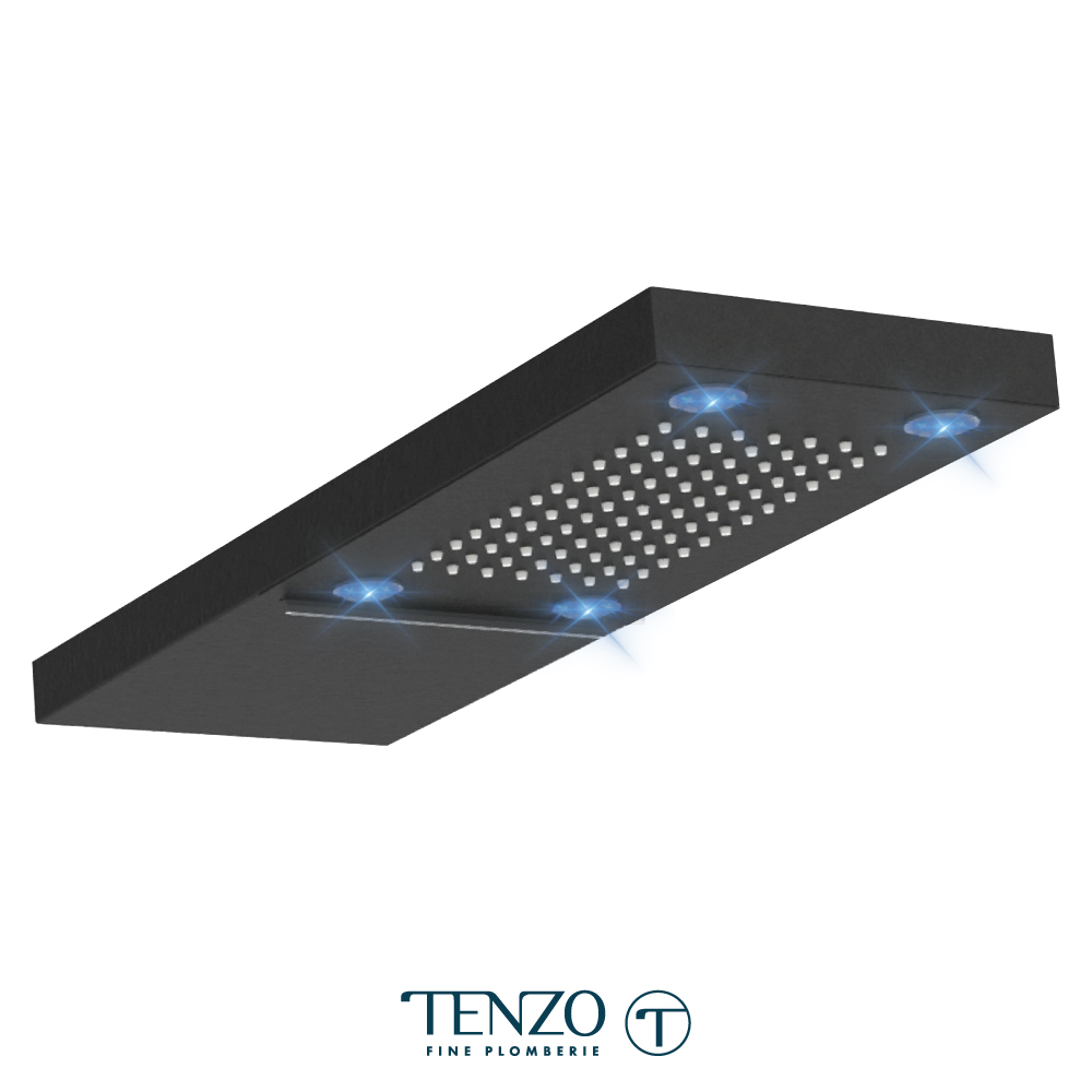 Tête de douche murale en acier inoxydable