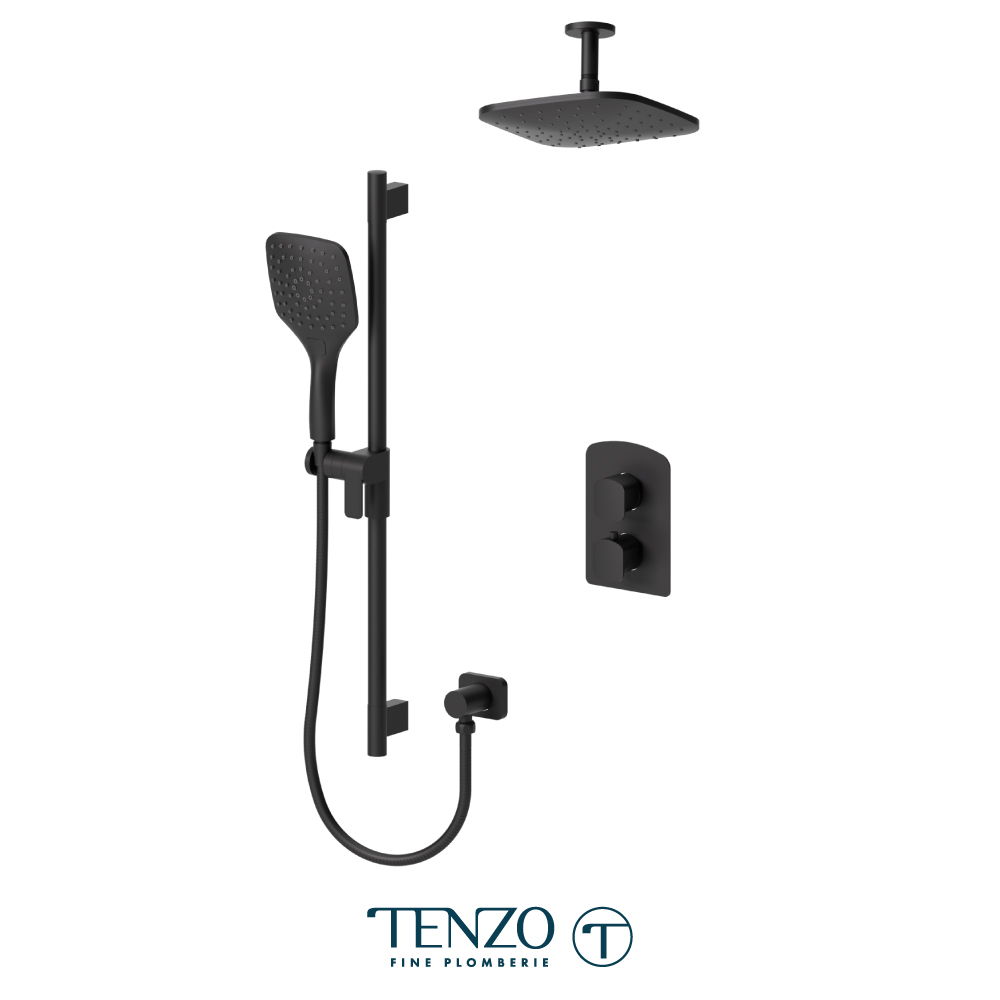 Ensemble de douche T-Box, 2 fonctions, Delano